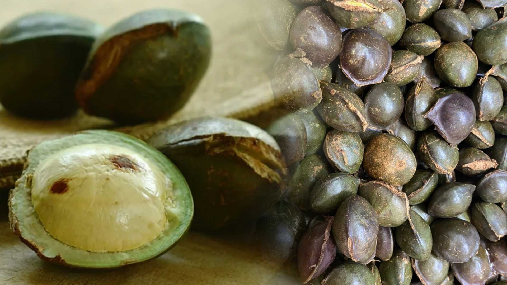 ลูกเนียง3