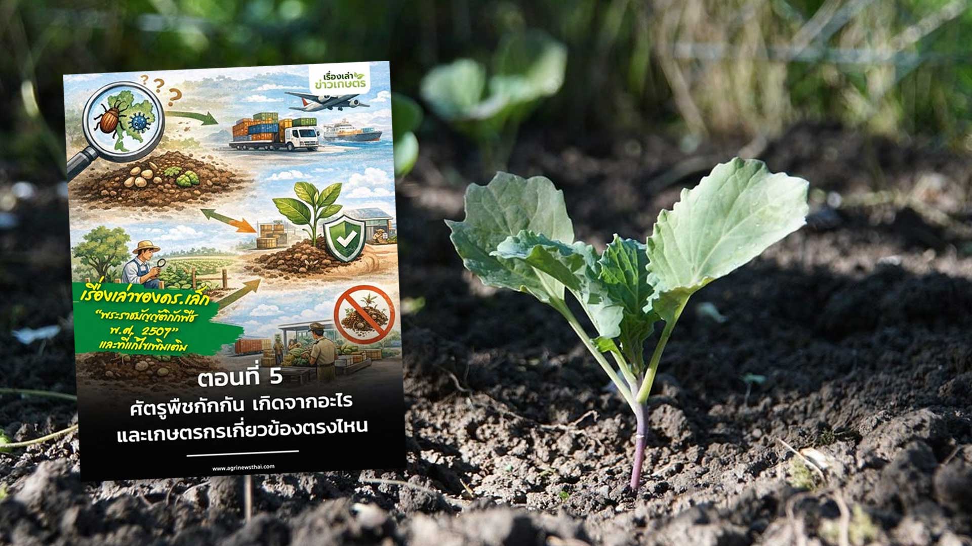 เรื่องเล่าของ ดร.เล็ก “พระราชบัญญัติกักพืช พ.ศ. 2507 และที่แก้ไขเพิ่มเติม” ตอนที่ 5 : ศัตรูพืชกักกัน เกิดจากอะไร และเกษตรกรเกี่ยวข้องตรงไหน 1 ศัตรูพืชกักกัน2