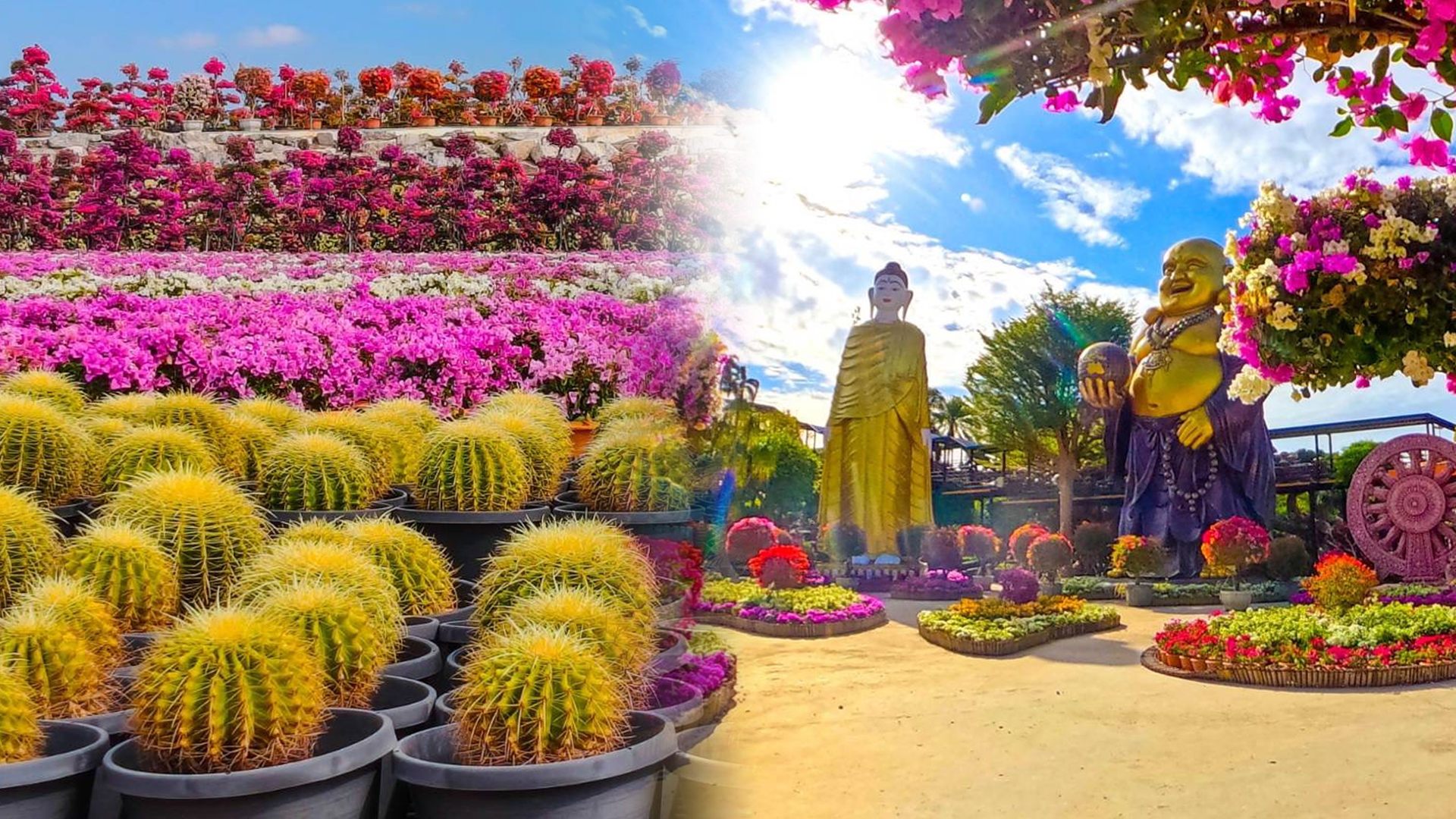 สวนนงนุชพัทยา2