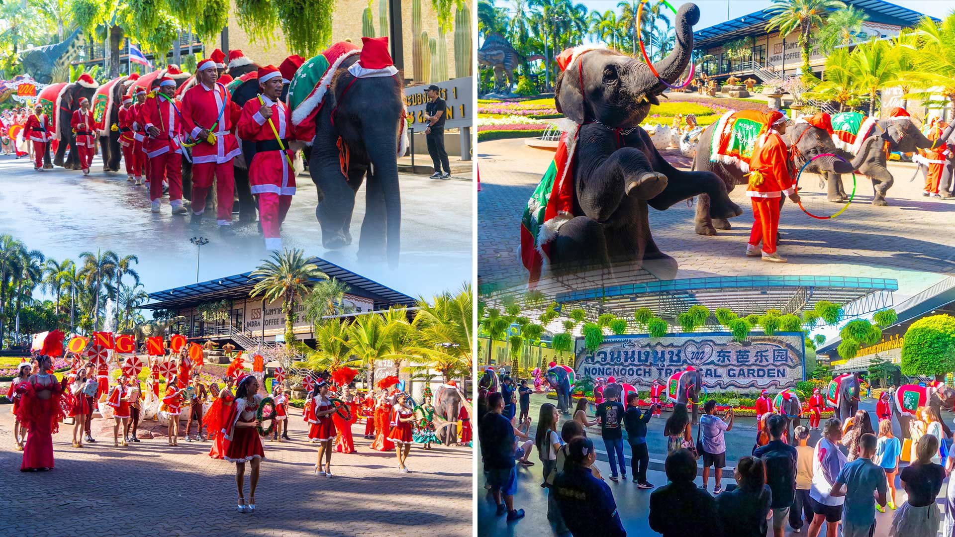 สวนนงนุชพัทยาจัดใหญ่3