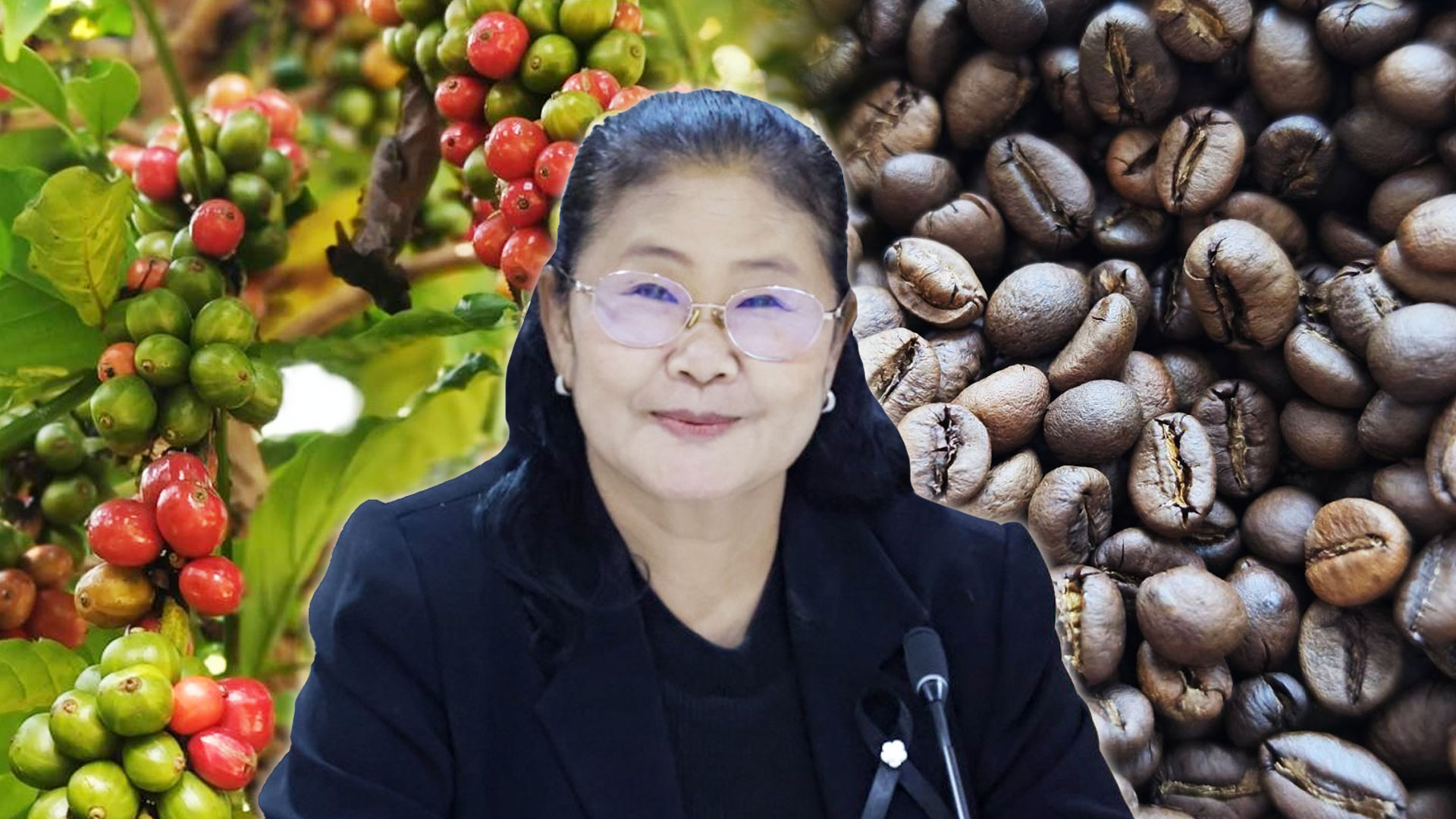 สศก. คาดดีมานด์กาแฟโลก 10.16 ล้านตัน ผลผลิตไทย 16,534 ตัน เกษตรฯ ขับเคลื่อนยกระดับ 1.2 หมื่นครัวเรือน รับมาตรฐาน EUDR 1 สศก2