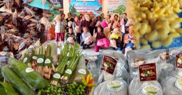 สหกรณ์การเกษตรบ้านดงกล้วย จ.กาฬสินธุ์ ส่งเสริมเลี้ยงจิ้งหรีดส่งออก ปลูกพืชสมุนไพร ปลูกหม่อนเลี้ยงไหมต้นแบบความสำเร็จสหกรณ์ในพื้นที่ คทช. “ดงกล้วยโมเดล” 11 สหกรณ์การเกษตรบ้านดงกล้วย3