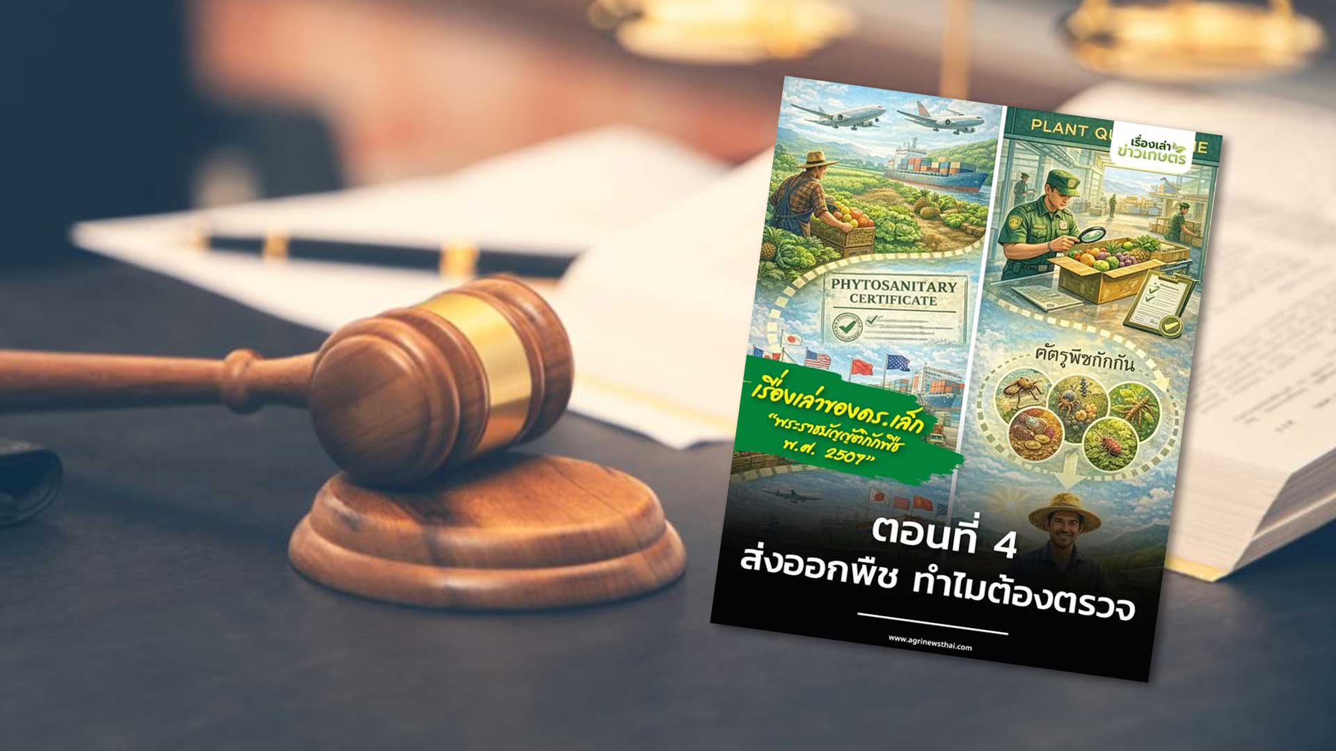 เรื่องเล่าของ ดร.เล็ก พระราชบัญญัติกักพืช พ.ศ. 2507 ตอนที่ 4 : ส่งออกพืช ทำไมต้องตรวจ 1 ส่งออกพืช3