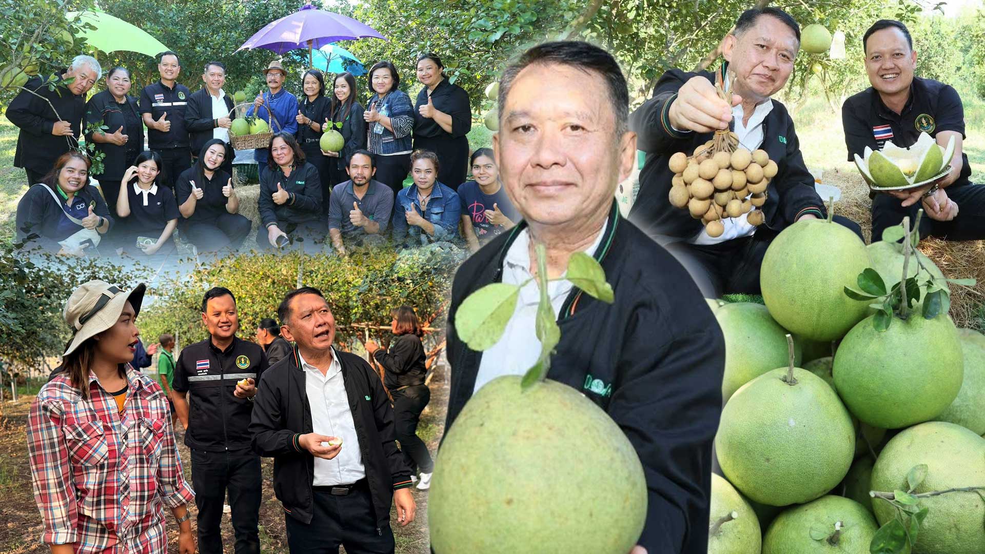 เกษตรนครสวรรค์ โชว์ของดีเมืองปากน้ำโพธิ์ ลุยงานส่งเสริมเกษตรกรต้นแบบ ศพก. ผลิตส้มโอแม่วงก์ พุทราน้ำอ้อยกางมุ้ง มุ่งสร้างรายได้ยั่งยืน 1 เกษตรนครสวรรค์3