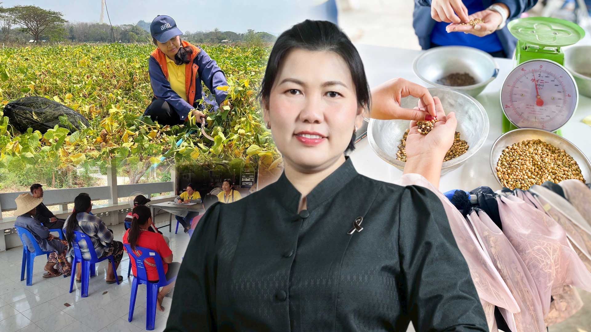 สศท.2 เกาะติดสถานการณ์ถั่วเหลือง ปี 2568/69 พื้นที่ 6 จังหวัดภาคเหนือ แนะเกษตรกรดูแลรักษาแปลง เฝ้าระวังโรคและแมลงศัตรูพืชอย่างใกล้ชิด 1 เกาะติดสถานการณ์ถั่วเหลือง3