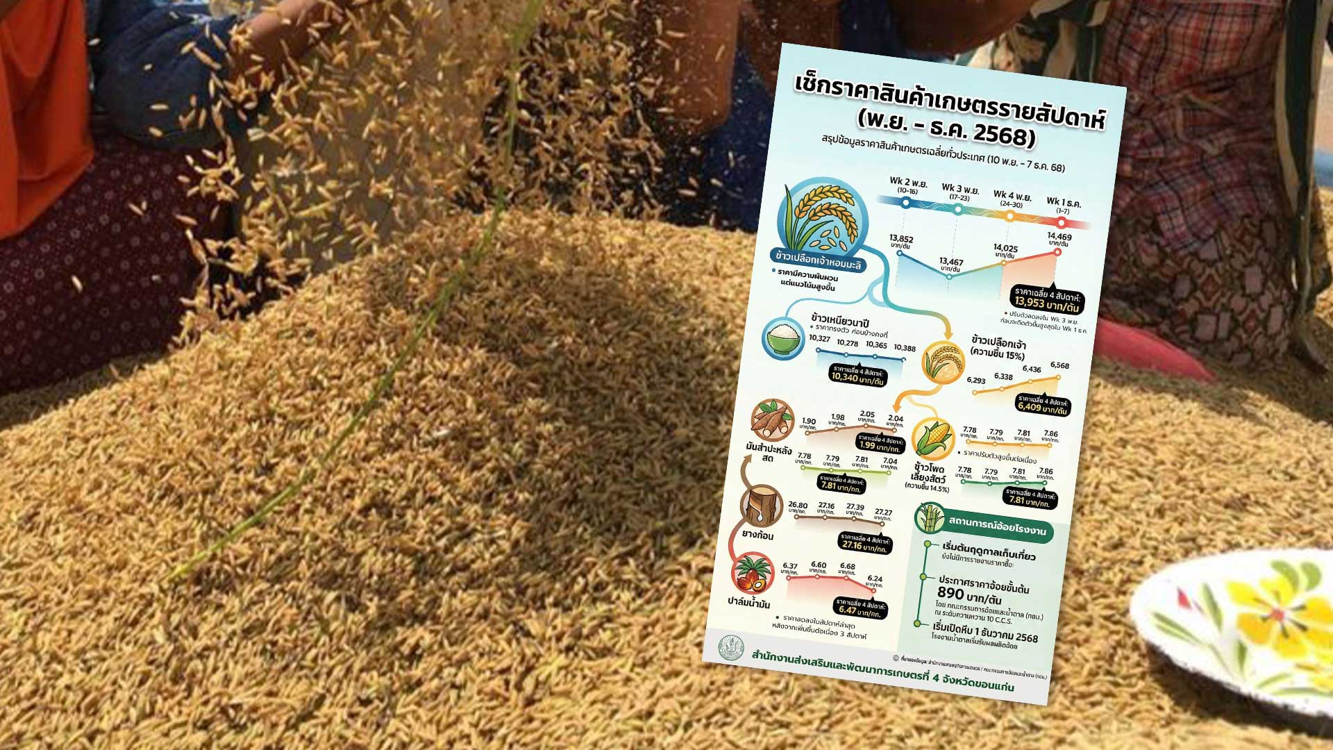 เช็กราคาสินค้าเกษตรรายสัปดาห์ ( พ.ย.- ธ.ค. 2568 ) 1 เช็กราคาสินค้าเกษตรรายสัปดาห์3