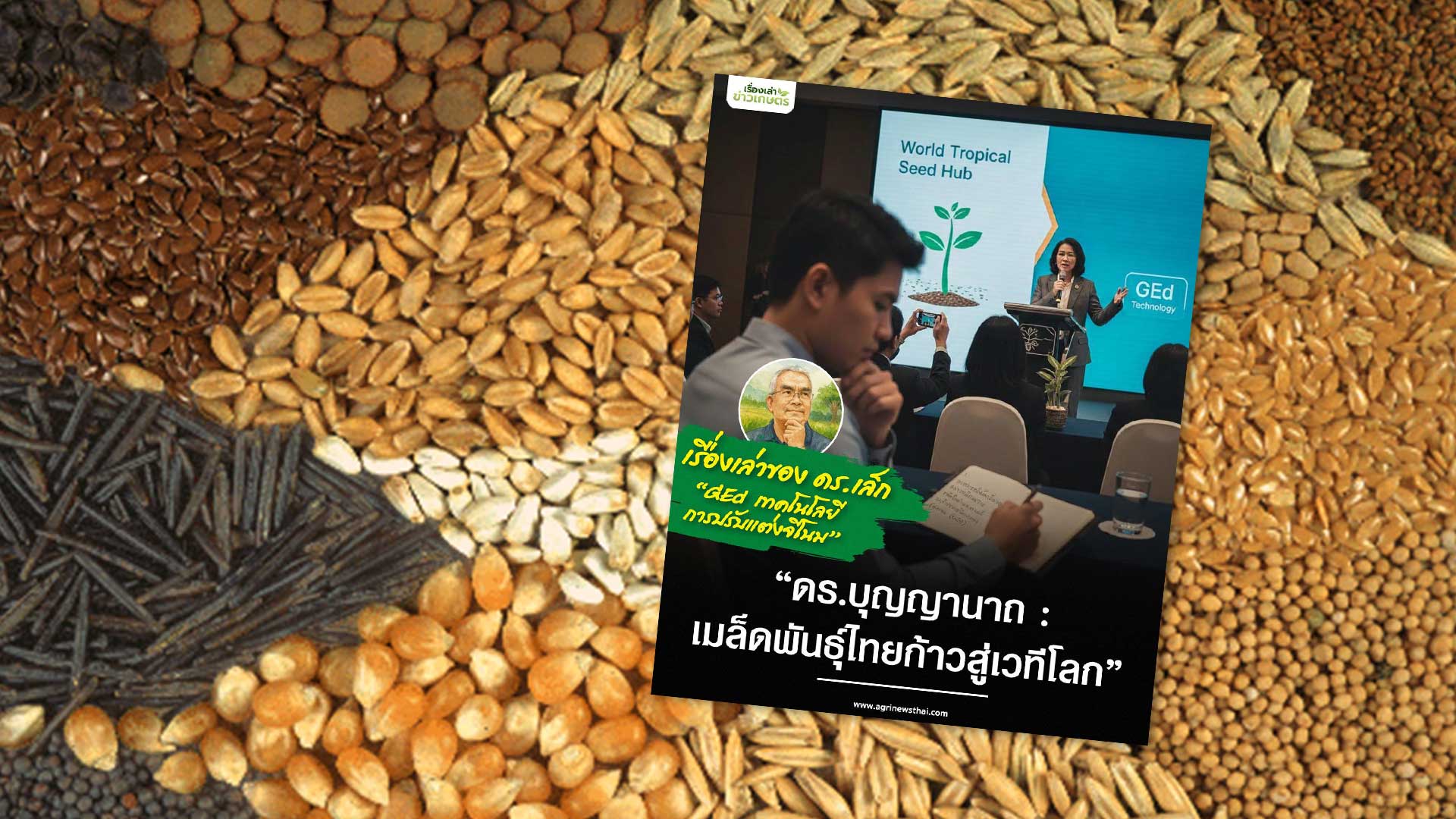 เมล็ดพันธุ์ไทยก้าวสู่เวทีโลก3