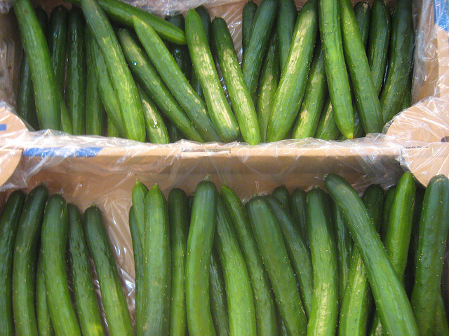 แตงกวาญี่ปุ่น Japanese Cucumber Suhyo