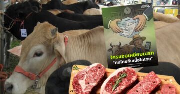 ใครแอบเหยียบเบรค3