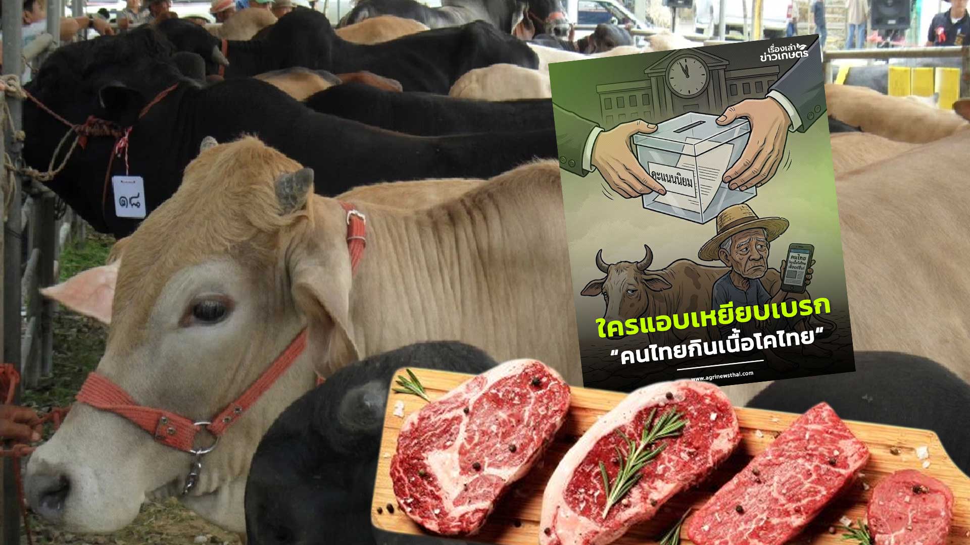 ใครแอบเหยียบเบรค3