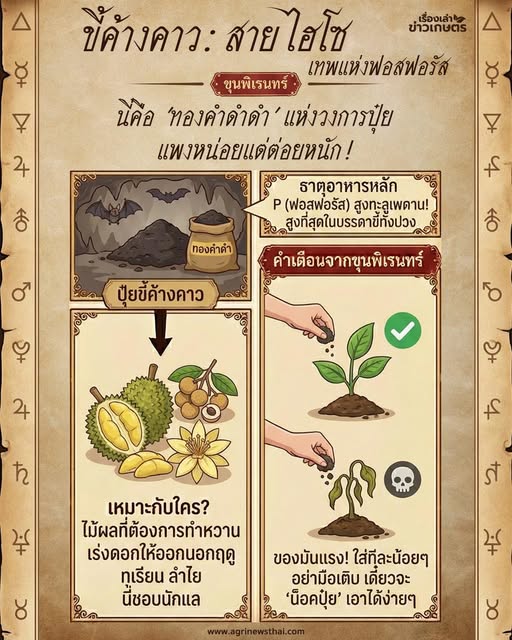 ขี้ค้างคาว.. 605707384 1683645832955792 7548879848423631542 n