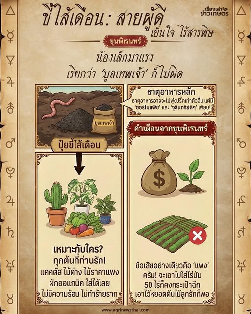 ขี้ไส้เดือน.. 605723087 1683647062955669 7338702799303966924 n 1