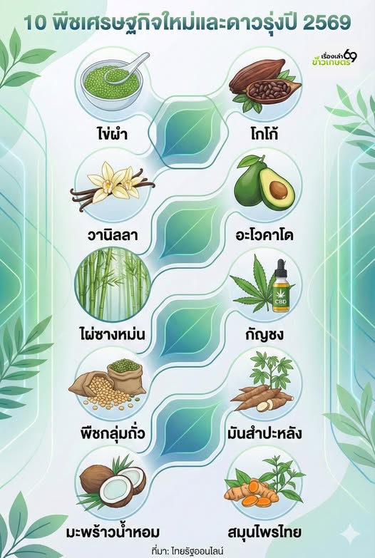 10 พืชเศรษฐกิจใหม่และดาวรุ่งปี 2569 2 606020073 1682316289755413 1989311069329998827 n