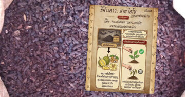 ขี้ค้างคาว.. ขี้ค้างคาว2