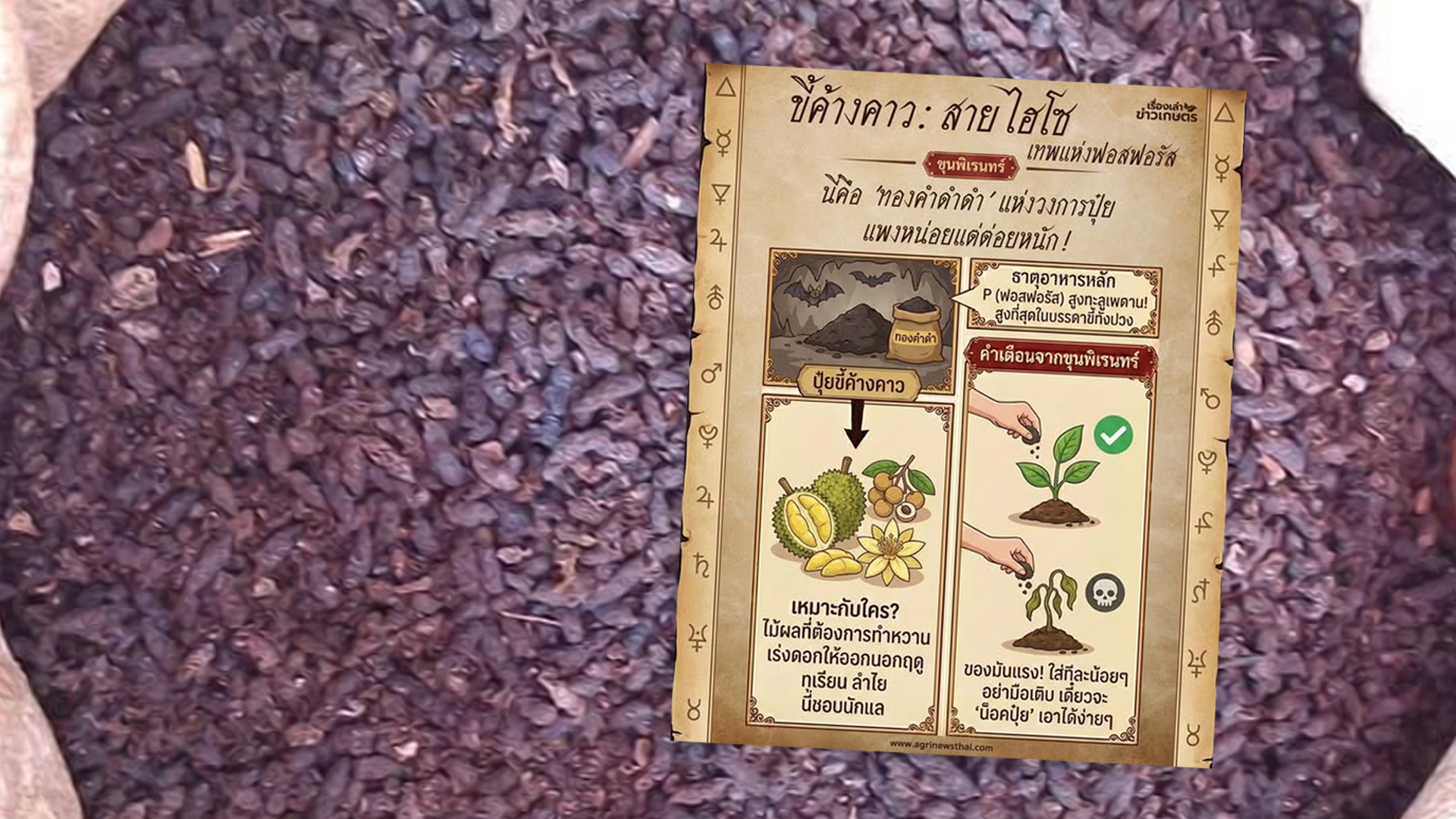 ขี้ค้างคาว.. ขี้ค้างคาว2