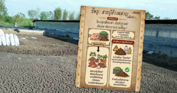 ขี้หมู… ขี้หมู2