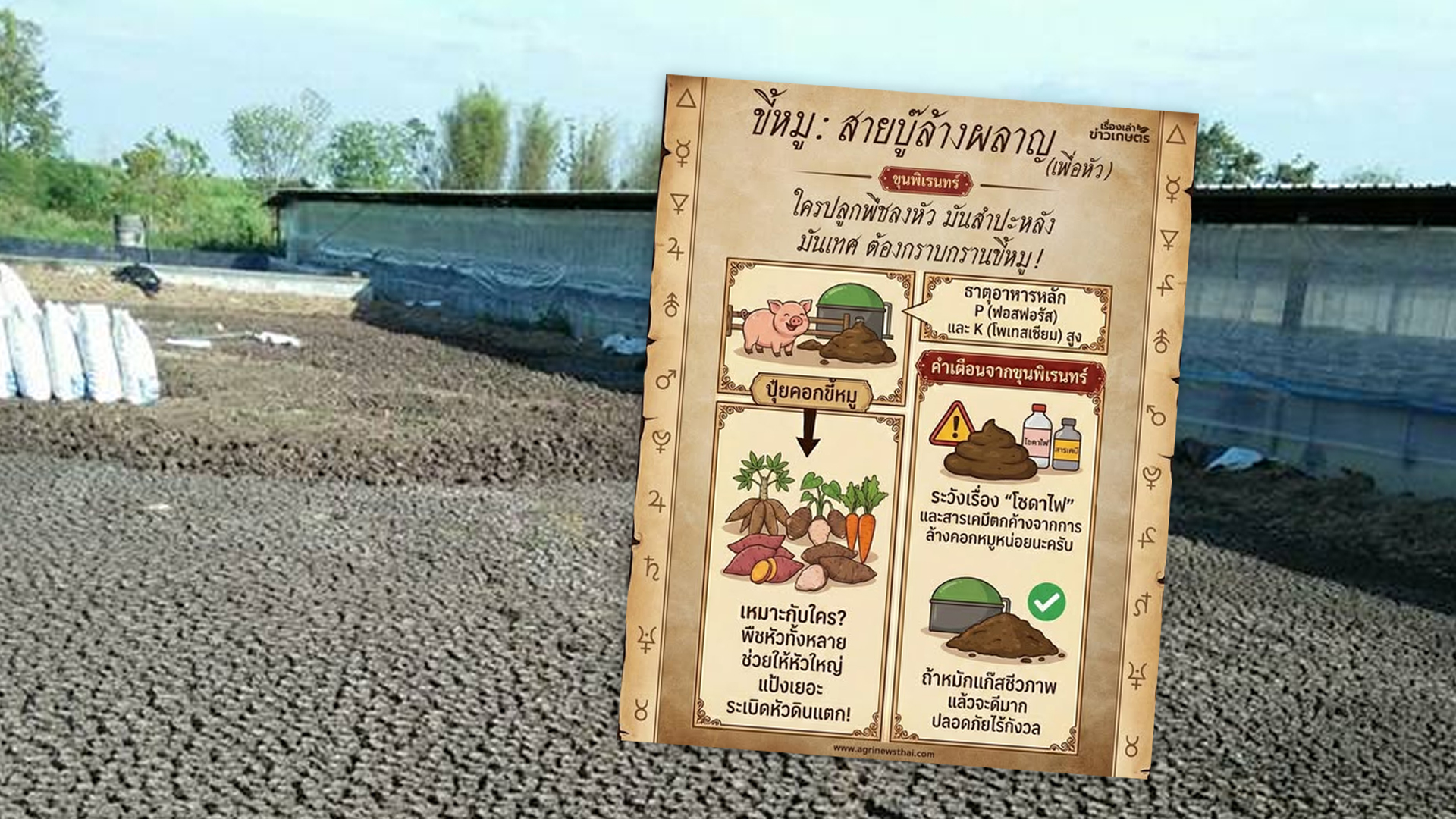 ขี้หมู… ขี้หมู2