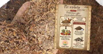 ขี้ไก่/มูลไก่ ขี้ไก่2