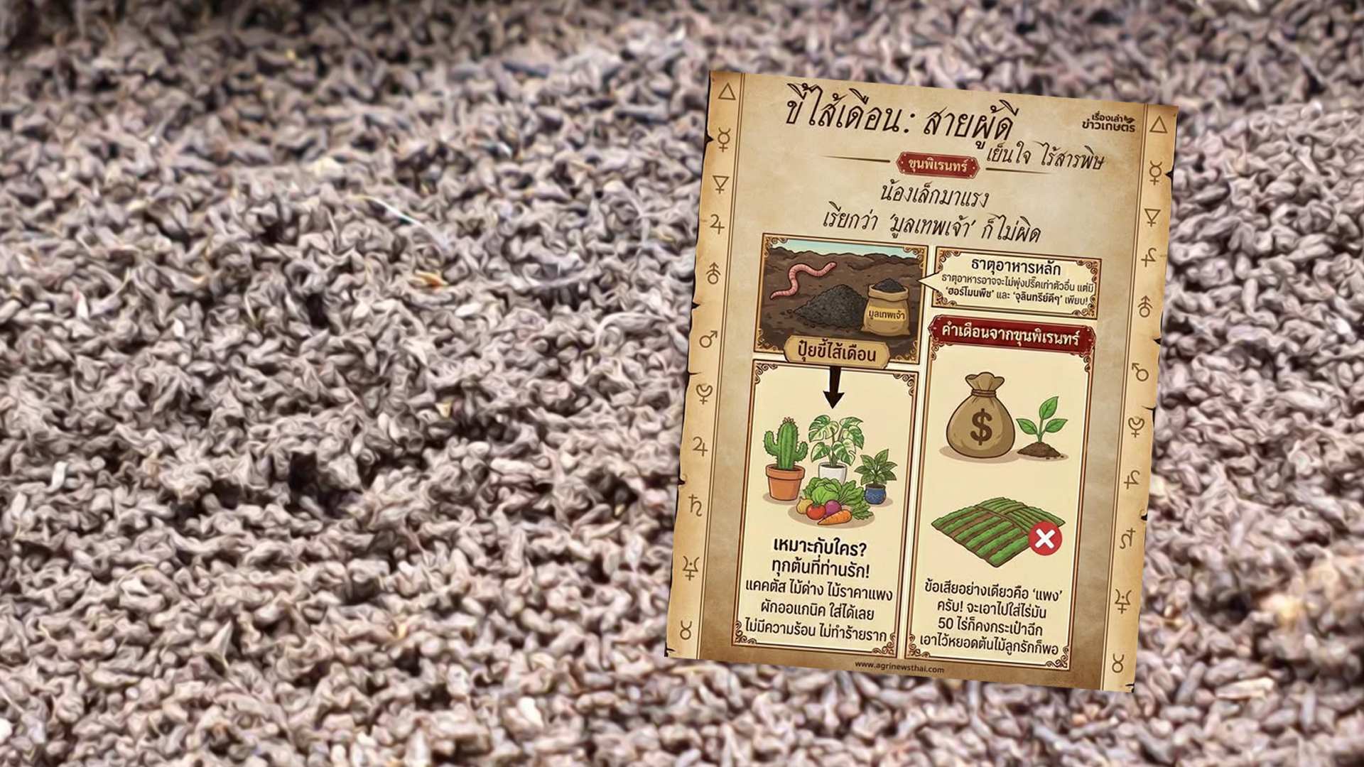 ขี้ไส้เดือน.. ขี้ไส้เดือน2