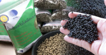 เรื่องของปุ๋ย..ก่อนปลูกพืชต้องรู้ ตอน 7 ปุ๋ยอินทรีย์เคมี2