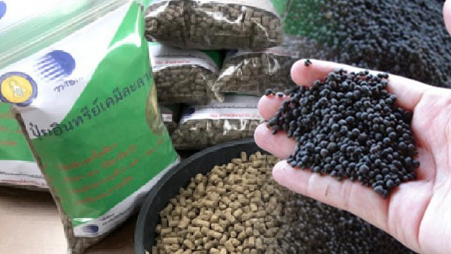 เรื่องของปุ๋ย..ก่อนปลูกพืชต้องรู้ ตอน 7 ปุ๋ยอินทรีย์เคมี2