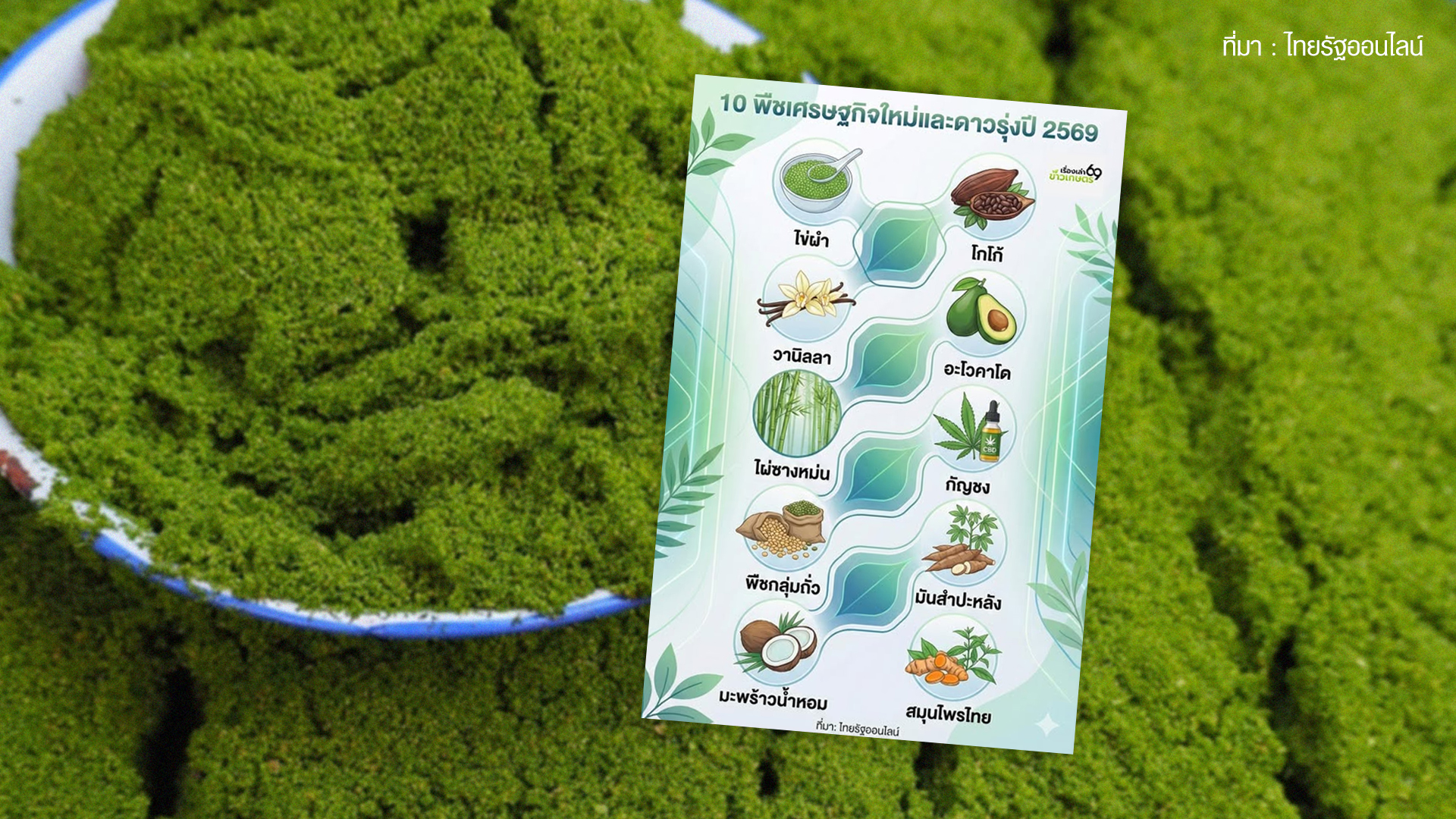 10 พืชเศรษฐกิจใหม่และดาวรุ่งปี 2569 1 พืชเศรษฐกิจใหม่2