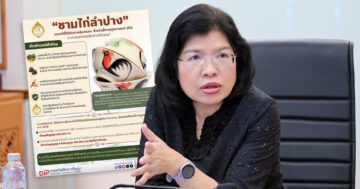 ชามไก่ลำปาง3