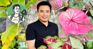 ตามขุนพิเรนทร์3 1