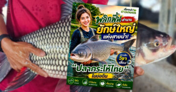 ปลากระโห้ไทย2